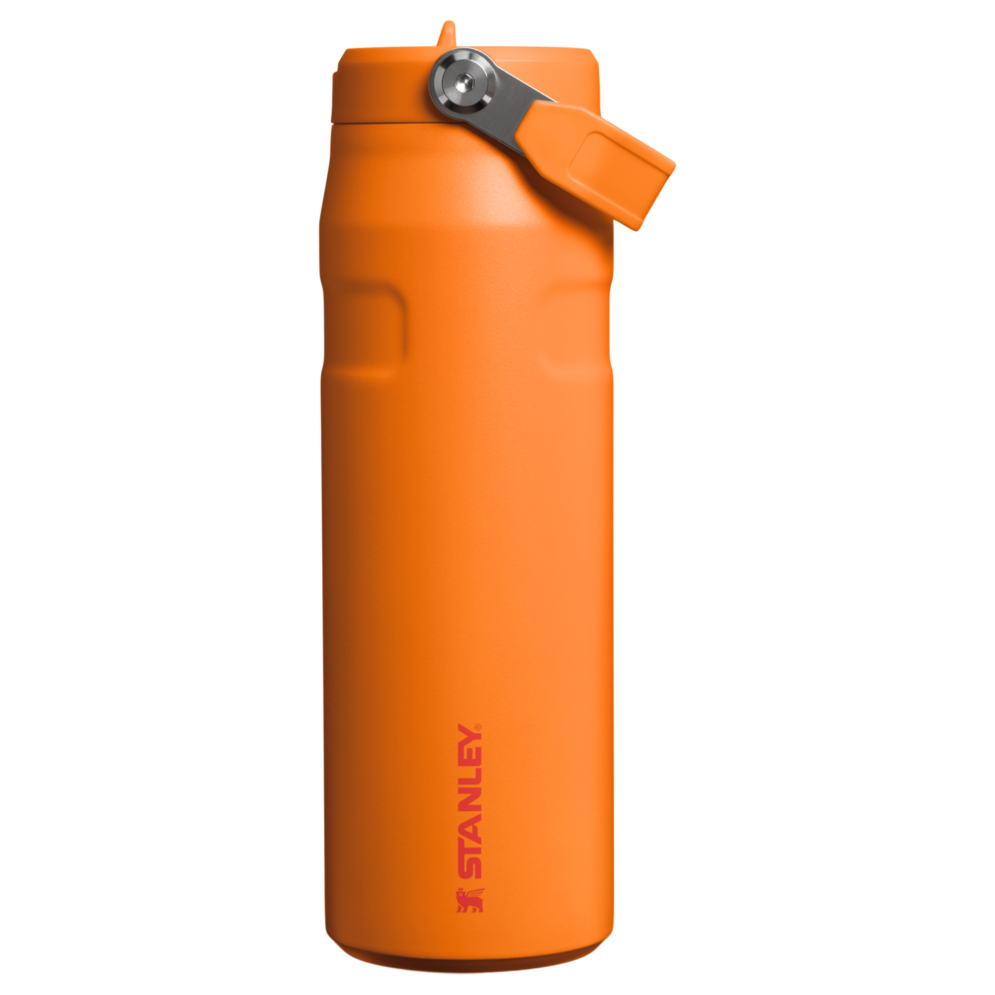 Standford HydroStraw Bottle | 30 oz