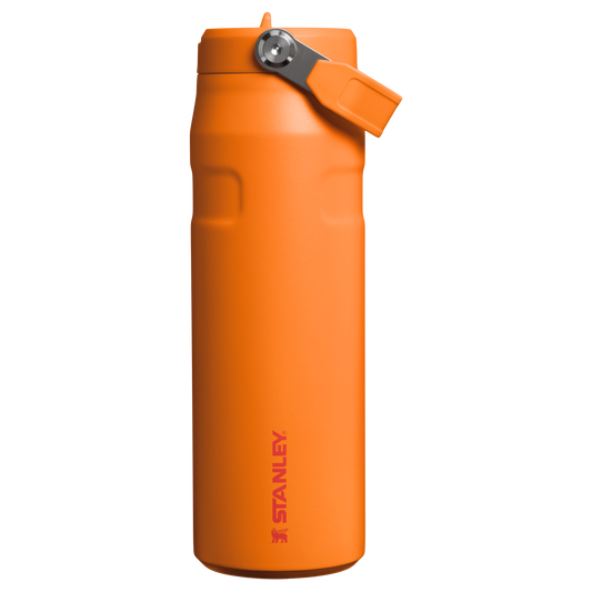 Standford HydroStraw Bottle | 30 oz